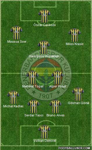 Fenerbahçe SK Formation 2013