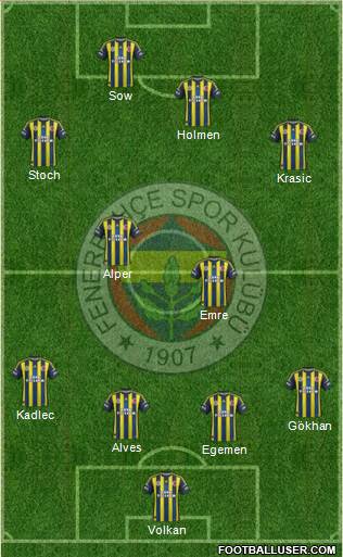 Fenerbahçe SK Formation 2013