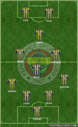 Fenerbahçe SK Formation 2013