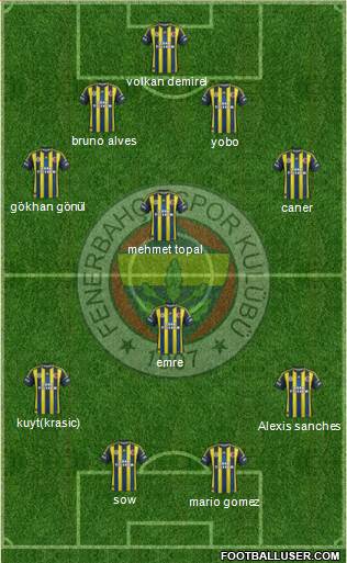 Fenerbahçe SK Formation 2013