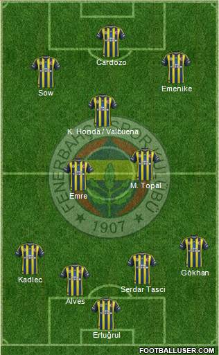 Fenerbahçe SK Formation 2013