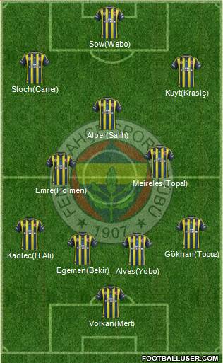 Fenerbahçe SK Formation 2013