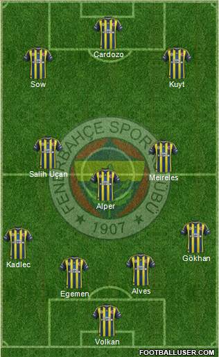 Fenerbahçe SK Formation 2013