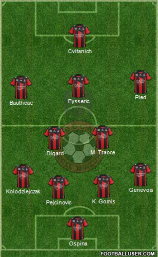 OGC Nice Côte d'Azur Formation 2013