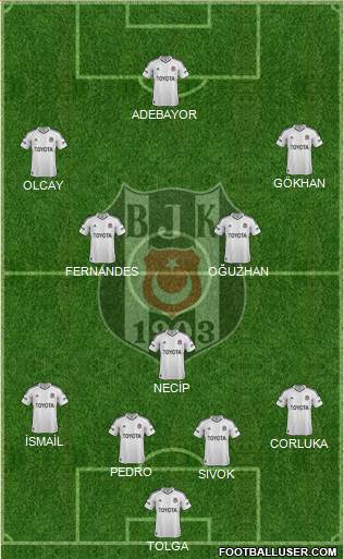 Besiktas JK Formation 2013