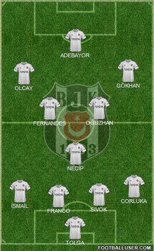 Besiktas JK Formation 2013