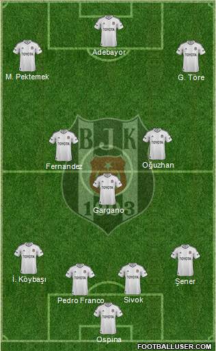 Besiktas JK Formation 2013
