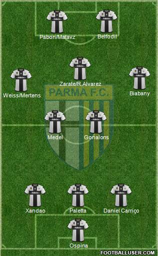 Parma Formation 2013