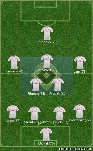 Hamburger SV Formation 2013