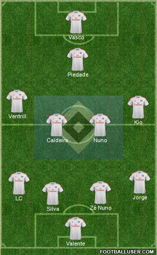 Hamburger SV Formation 2013