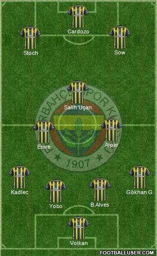 Fenerbahçe SK Formation 2013