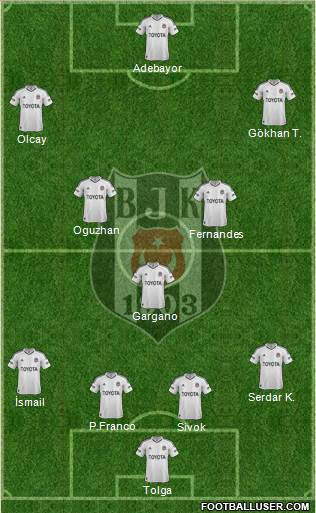 Besiktas JK Formation 2013