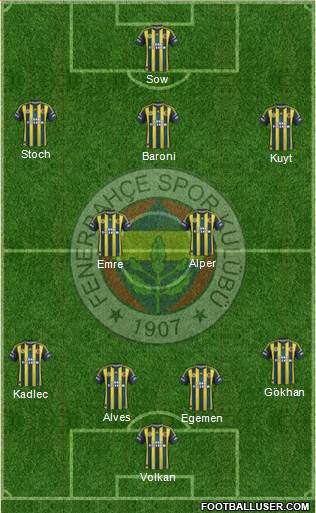 Fenerbahçe SK Formation 2013
