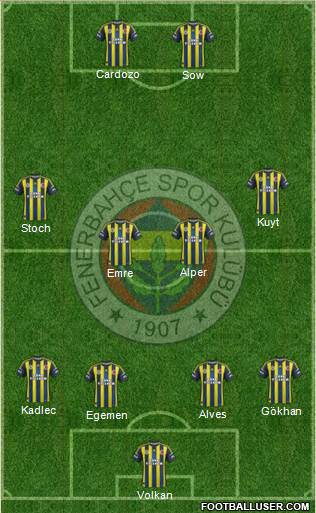 Fenerbahçe SK Formation 2013