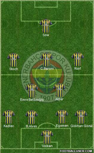 Fenerbahçe SK Formation 2013