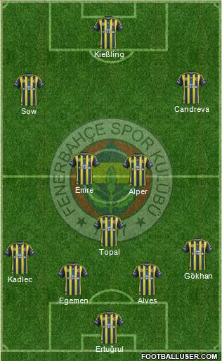 Fenerbahçe SK Formation 2013