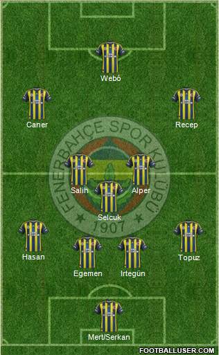 Fenerbahçe SK Formation 2013