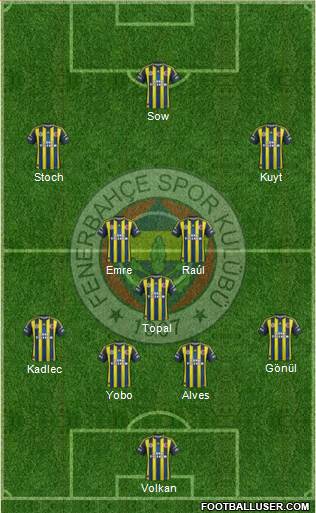 Fenerbahçe SK Formation 2013