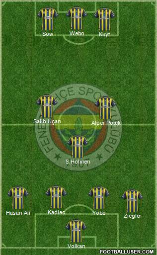 Fenerbahçe SK Formation 2013
