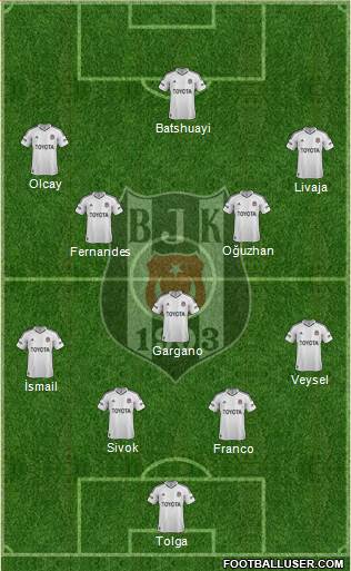 Besiktas JK Formation 2013