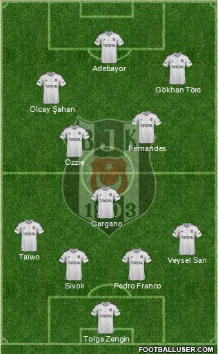 Besiktas JK Formation 2013