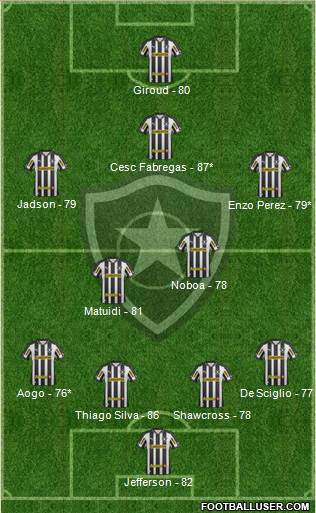 Botafogo FR Formation 2013