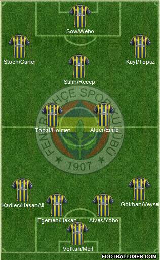 Fenerbahçe SK Formation 2013
