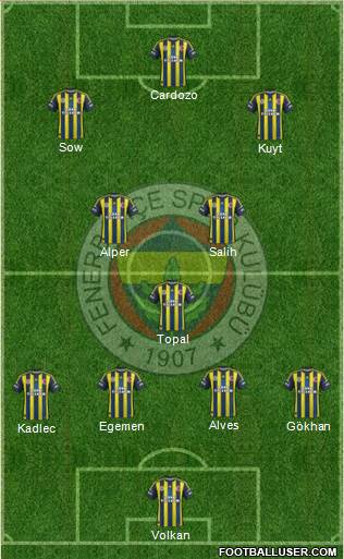 Fenerbahçe SK Formation 2013