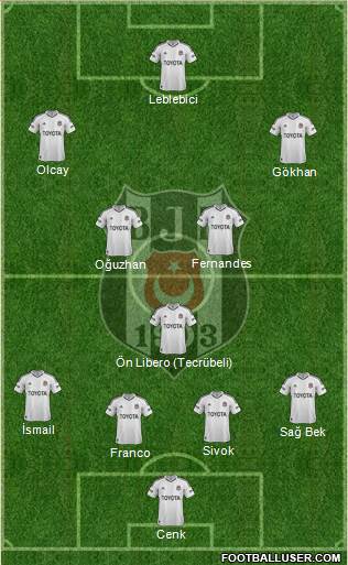 Besiktas JK Formation 2013