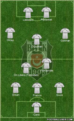 Besiktas JK Formation 2013
