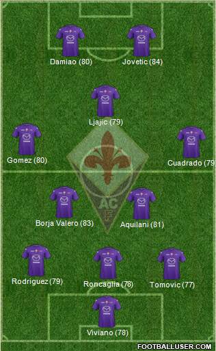Fiorentina Formation 2013