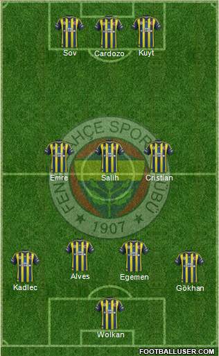 Fenerbahçe SK Formation 2013
