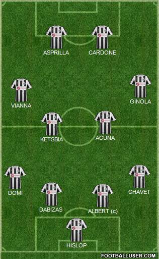Newcastle United Formation 2013