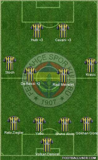 Fenerbahçe SK Formation 2013