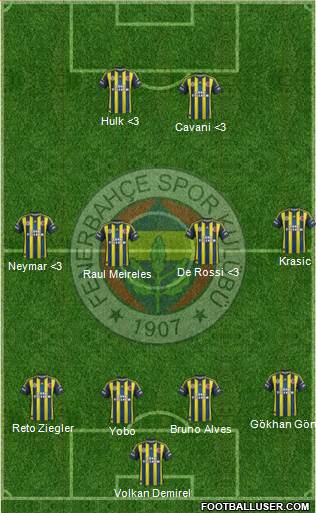 Fenerbahçe SK Formation 2013