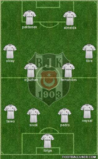 Besiktas JK Formation 2013