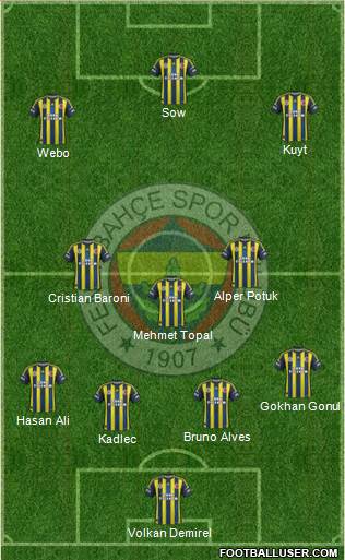 Fenerbahçe SK Formation 2013