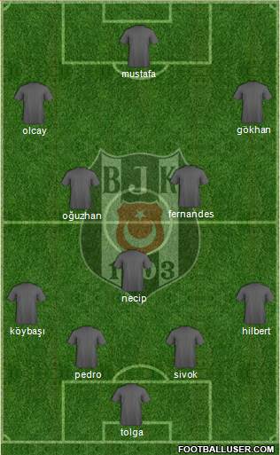 Besiktas JK Formation 2013