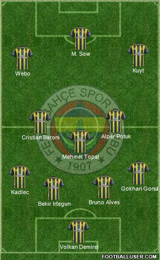 Fenerbahçe SK Formation 2013