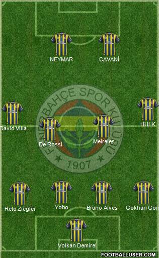 Fenerbahçe SK Formation 2013