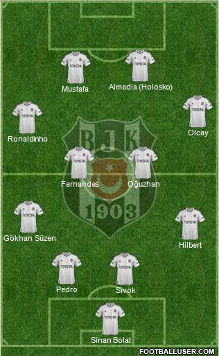 Besiktas JK Formation 2013