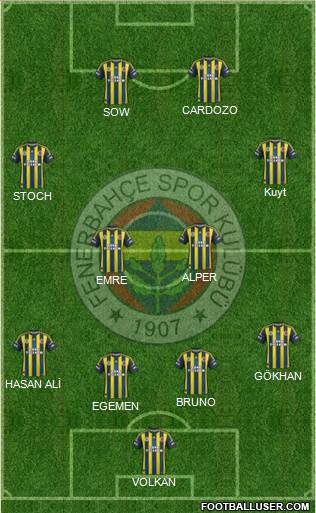 Fenerbahçe SK Formation 2013