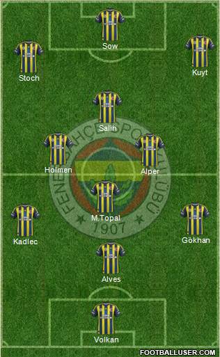 Fenerbahçe SK Formation 2013