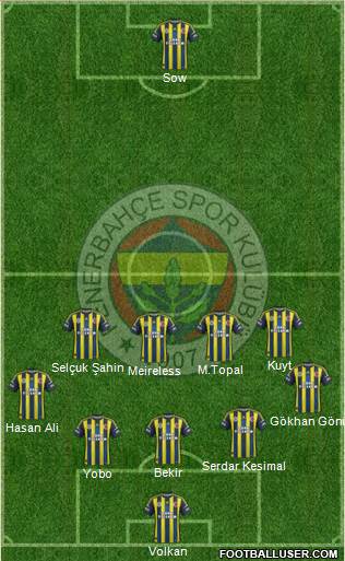 Fenerbahçe SK Formation 2013