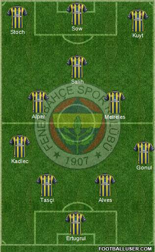 Fenerbahçe SK Formation 2013