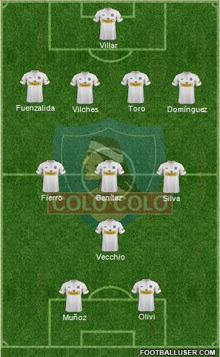 CSD Colo Colo Formation 2013