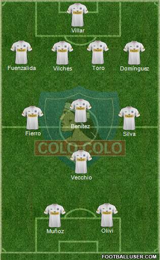 CSD Colo Colo Formation 2013