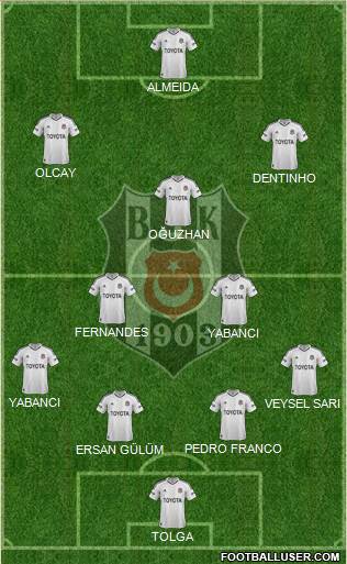 Besiktas JK Formation 2013