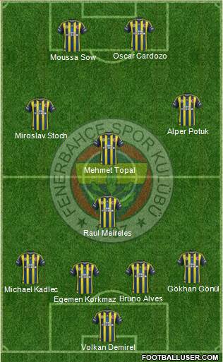 Fenerbahçe SK Formation 2013