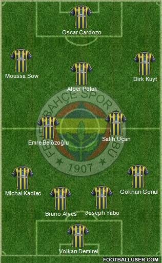 Fenerbahçe SK Formation 2013